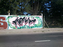 Ckarl Graffiti