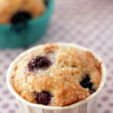 Sweet Blueberry Corn Muffins