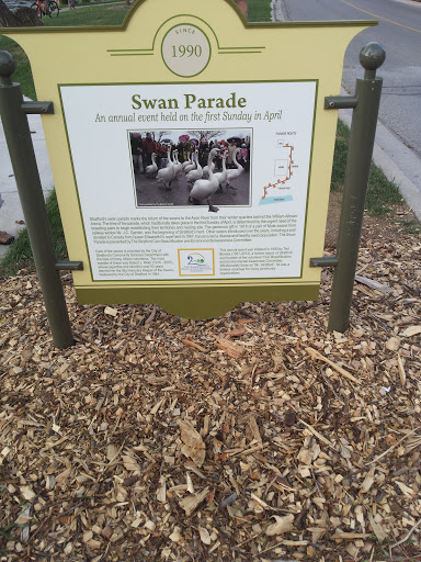 Stratford Swan Parade