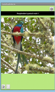 How to download Costa Rica Birds Fieldguide 10.6.0 apk for pc