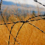 by Julie Zaranek - Landscape & Nature Prairies, Meadows & Fields