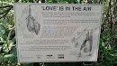 'Love' Is In The Air Mural