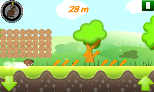 download Bunny Run 2D free
