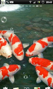 How to download Koi live wallpaper patch 1.0.4 apk for pc