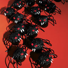 Spider Cupcakes