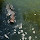 A3 Ecology - Interlochen Arts Academy
