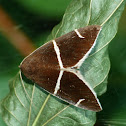 Short-lined chocolate