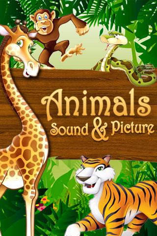 Animals Sound and Picture