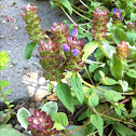 Self-heal