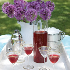Hibiscus Cosmopolitan