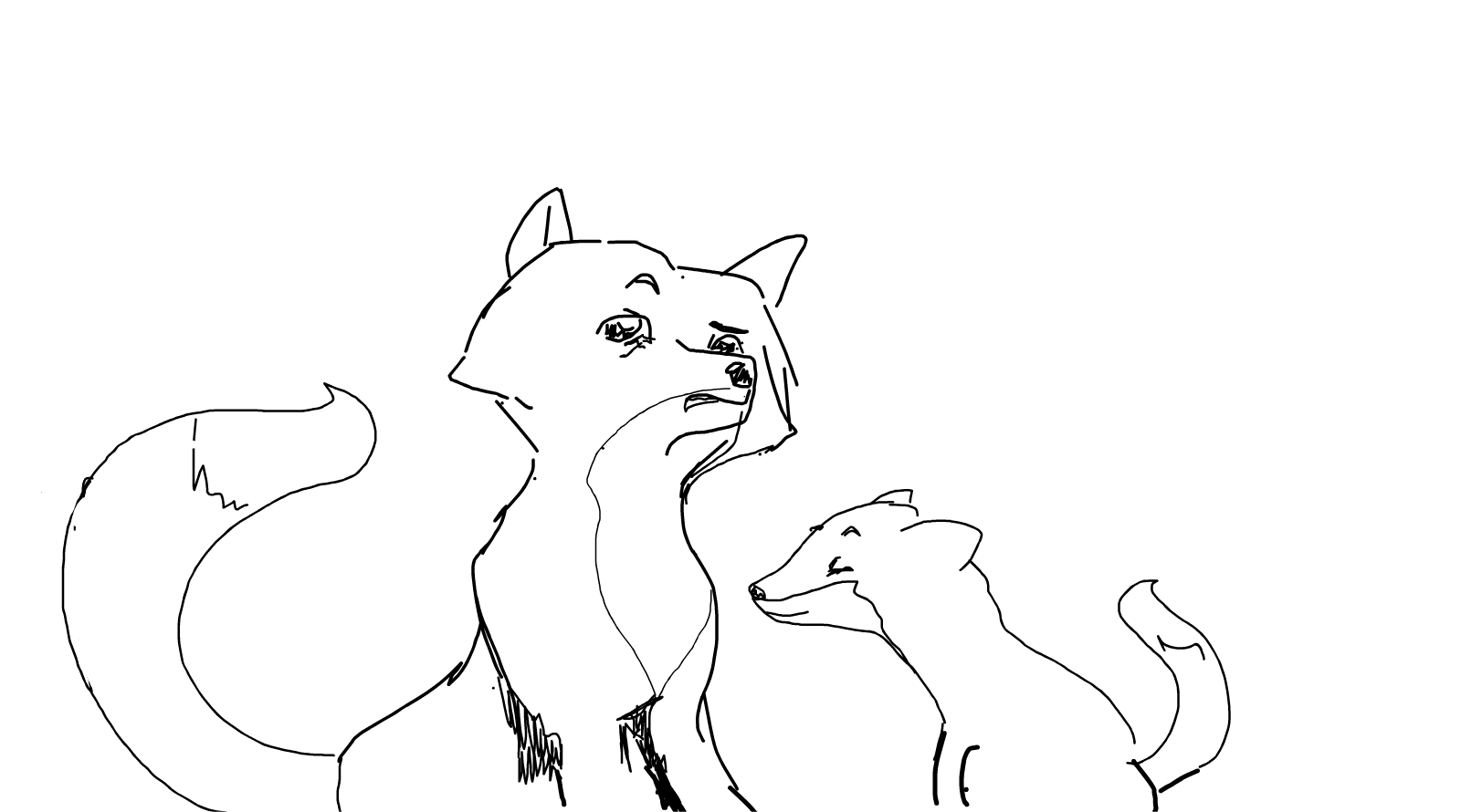 Foxies sketching