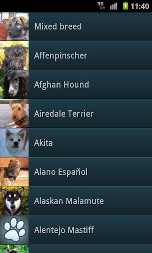 【免費社交App】Dog Breeds-APP點子