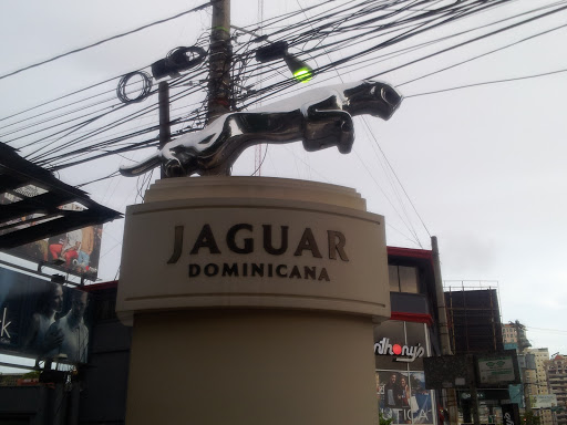 Jaguar Dominicana