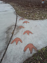 Weston Emu Footprints