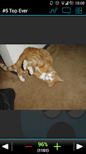 How to download Oh My Gif (Pro) - Funny Videos 2.49 mod apk for pc