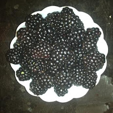 Frozen Blackberry Mousse
