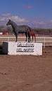 Gallegos Del Norte Horse Statue