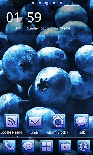 Blue Fruit Theme GO Launcher
