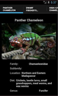 How to download Chameleons 3 unlimited apk for bluestacks