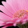 floris.terlouw