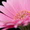 floris.terlouw