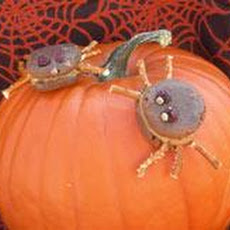 Creepy Spider Cookies