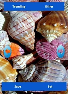 How to install Seashell Wallpapers 1.0.0 unlimited apk for laptop