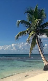 How to get Real Sea Beach Waves LWP 3.0 apk for android