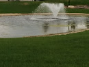 Pond Water Fountain