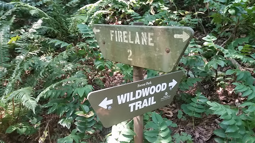 Fire Lane 2 and Wildwood Trail Juncture