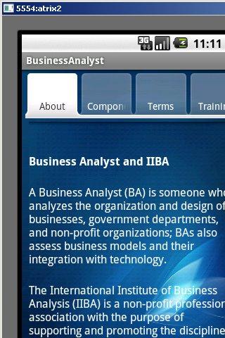 BusinessAnalyst