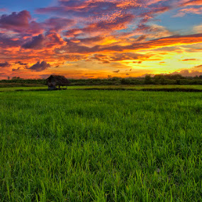 The Hut by Charliemagne Unggay - Landscapes Prairies, Meadows & Fields ( field, colorful sky, nature, sunset, landscape )