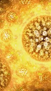 How to mod Mystic Sun Live WallPaper 1.0.7 mod apk for laptop