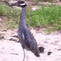 Unnamed spotting