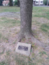 Arbor Day 1992 Memorial Tree 