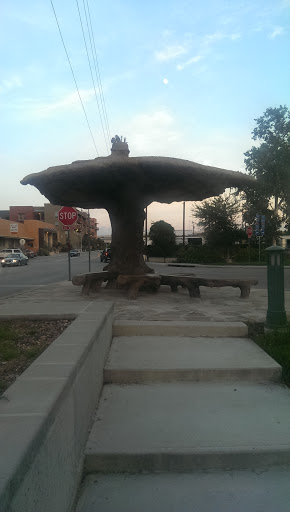 Mushroom Bus Stop