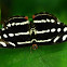 broken banner (female)