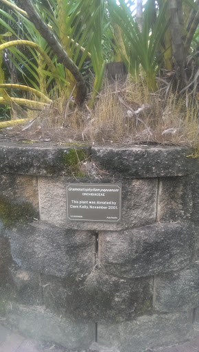 Plaque for Donated Plant
