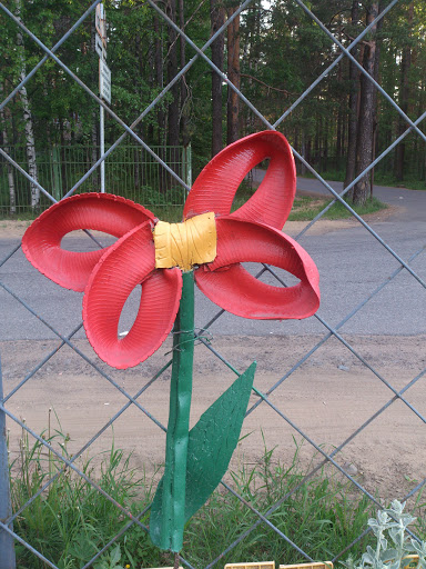 Red Flower with Yellow Button