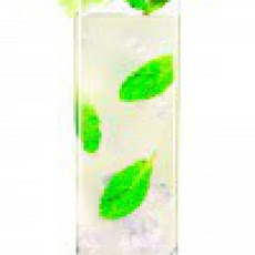 Mint Muse