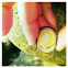 Limpet