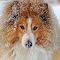 1168 Spikey06_L.jpg
