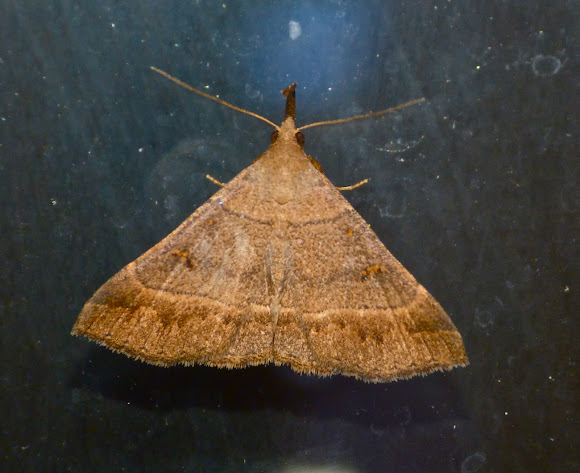 Spotting Image 1