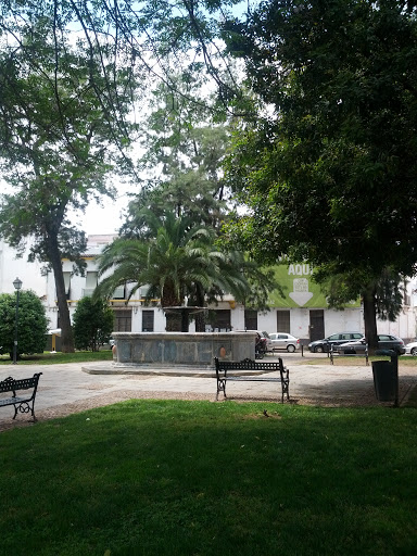 Plaza De La Magdalena 