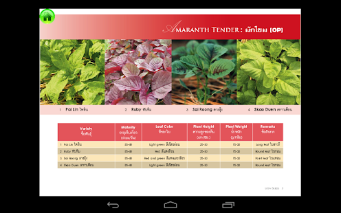 How to install Lion Seeds patch 1.0.1 apk for laptop