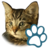 Cats mobile app icon