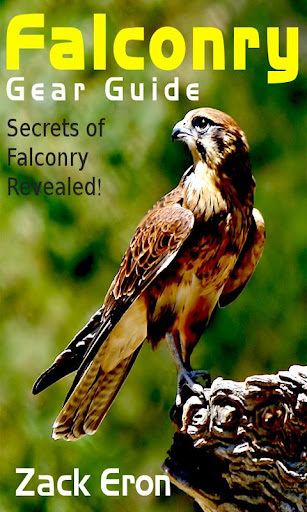 Falconry Gear Guide