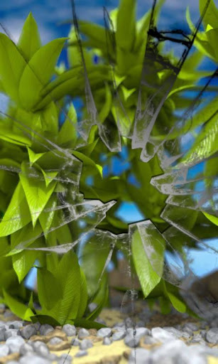 바람에 식물