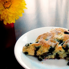 Whole Wheat Blueberry Scones