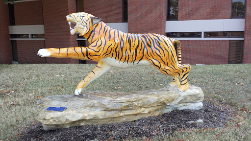 1975 University of Memphis Tiger